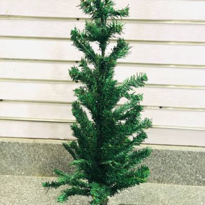 شجرة اخضر 60س