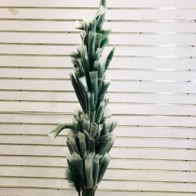 شجرة اخضر قنفد 150س