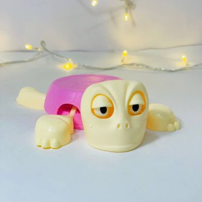 كوستر سلحفاة 🐢🐢🐢