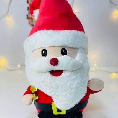 بابا نويل شنب بوش وسط