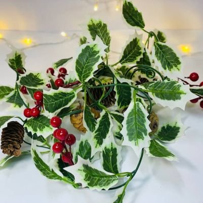 كيس فرع زرع 🌿🌿🌿