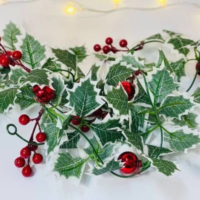 العنب و الكور البلاستيك 🍒🔴🍒🔴 