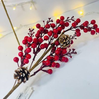 فرع الكريز 🍒🍒 