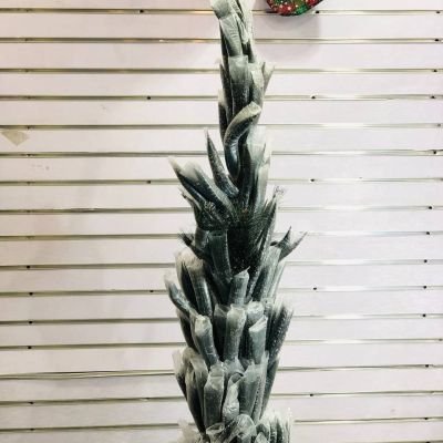  شجرة القنفد الأخضر بالاطراف الثلجي ❄️❄️❄️ 🌫🦚🦚🌲