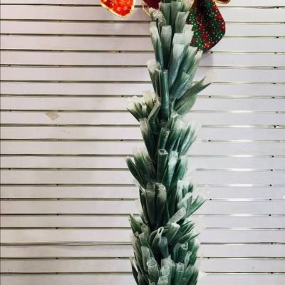  شجرة القنفد الأخضر🌫🦚🦚🌲 