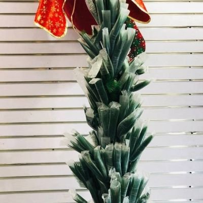  شجرة القنفد الأخضر🌫🦚🦚🌲 