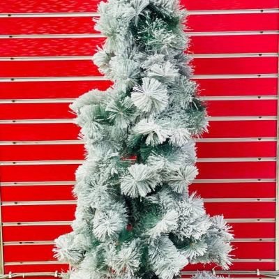  شجرة القنفد الأخضر في ابيض 🌫🦚🦚🌲