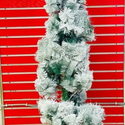 شجرة القنفد الأخضر في ابيض 🌫🦚🦚🌲 