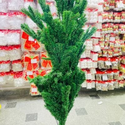 الشجرة الاخضر 🟢🟢🟢❄️☃️🌫🦚