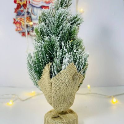 شجرة المكتب🎄 الخامة التل ✨🎄🎄