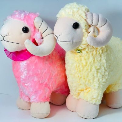 خروف الاضحي 🐑🐏