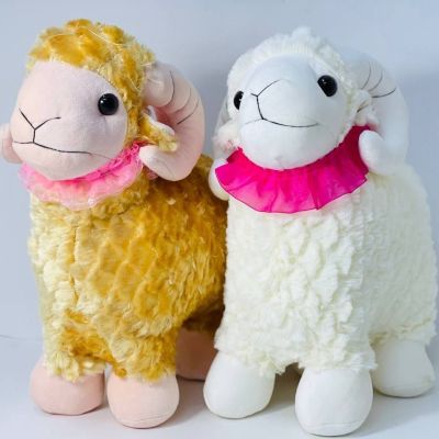 خروف الاضحي 🐑🐏