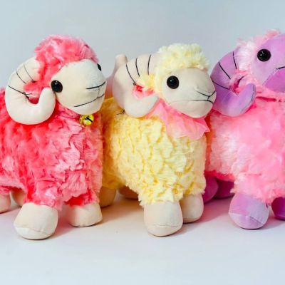 خروف الاضحي 🐑🐏