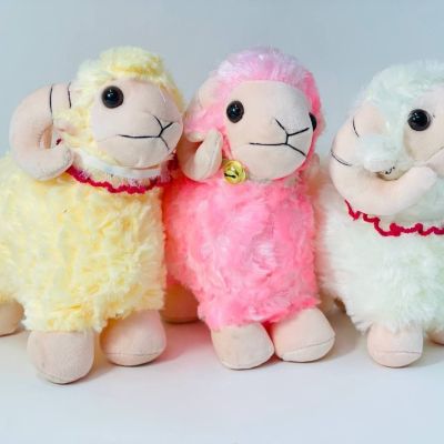 خروف الاضحي 🐑🐏