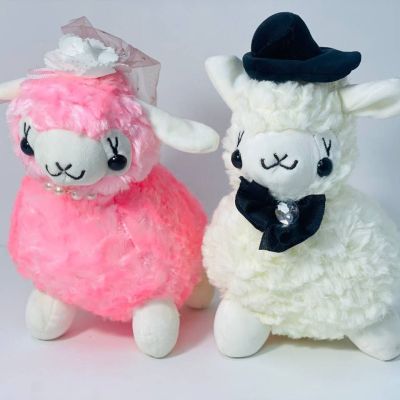 خروف الزفاف 🐑🐏👰🏻&zwj;♀️🤵🏻