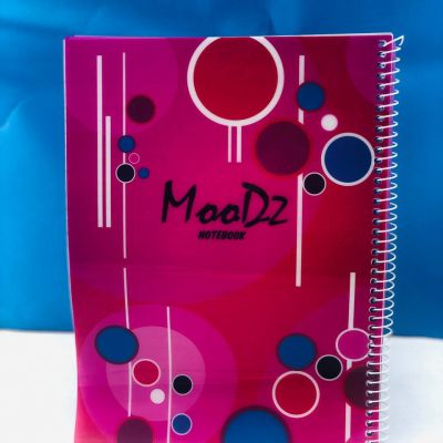 الكشكول السلك ال A4 الديزني